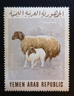 Image #1 of 1/2 Buqsha 1966 -  Domestic animals  - Sheep (Ovis aries)
