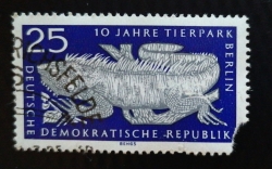 Image #1 of 25 Pfennig 1965 -  Berlin Zoo - Green Iguana (Iguana iguana)