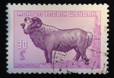Image #1 of 30 Mongo 1958 - Oaie domestica mongoliana