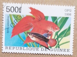 500 Francs 1998 - Betta splendens