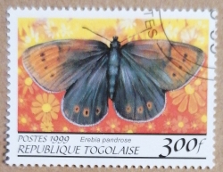 Image #1 of 300 Francs 1999 - Erebia pandrose