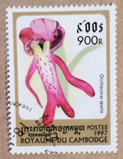 900 Riel 1997 - Orchid