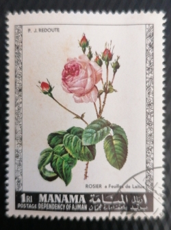 1 Riyal 1969 - Roses - Feuilles de Laitue