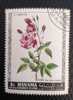 1 Riyal 1969 -  Roses - Indes commun
