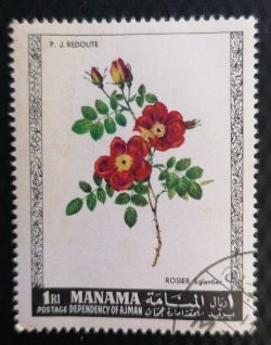 1 Riyal 1969 -  Roses  - Eglantier