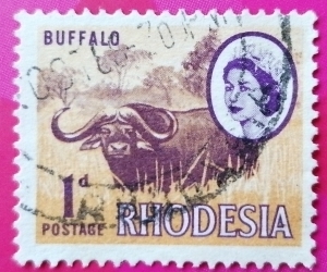 1 Penny - Buffalo