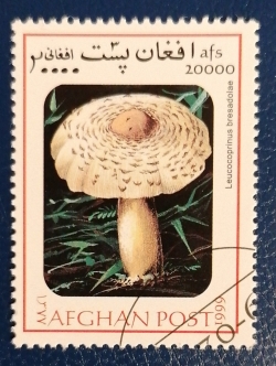 20000 Afghani 1999 - Leucocoprinus bresadolae