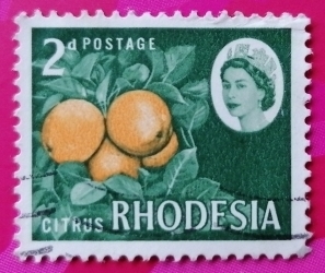 Image #1 of 2 Penny - Citrus