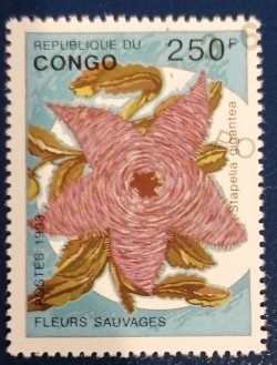 250 Francs 1993 - Stapelia gigantea