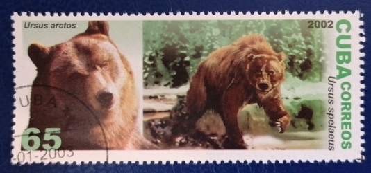 65 Centavo 2002 - Brown Bear (Ursus arctos)