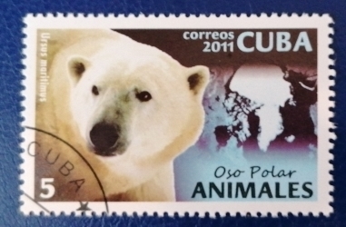 Image #1 of 5 Centavo 2011 - Polar Bear