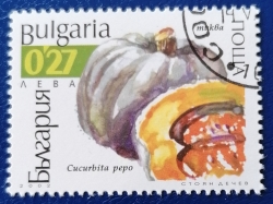 Image #1 of 0.27 Lev - Pumpkin (Cucurbita pepo)