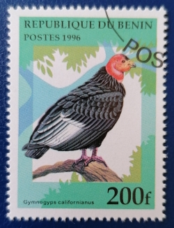 200 Franci - Condor din California (Gymnogyps californianus)