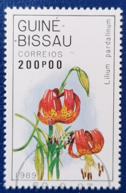 Image #1 of 200 Peso - Lilium pardalinum