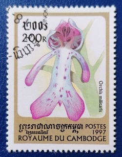 200 Riel 1997 - Orchis millitaris