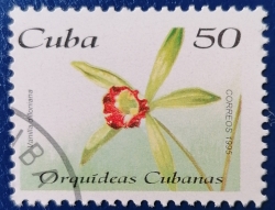 Image #1 of 50 Centavos 1995 - Vanilla dilloniana