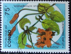 75 Francs 1993 - Hibiscus schizopetalus