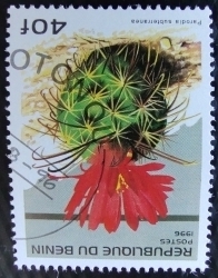 40 Francs 1996 - Parodia subterranea