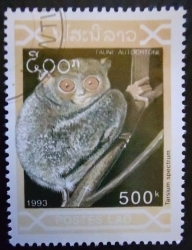 500 Kip 1993 - Tarsium spectrum