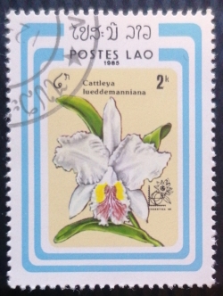 Image #1 of 2 Kip 1985 - Orchid (Cattleya lueddemanniana)