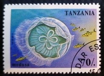 Image #1 of 70 Shillings 1995 - Jellyfish