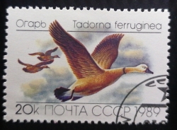 Image #1 of 20 Kopeks 1989 - Tadorna ferruginea