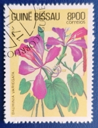 Image #1 of 8 Pesos 1983 - Orchid Tree (Bauhinia variegata)