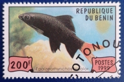 Image #1 of 200 Francs 1999 - Red-tailed Black Shark (Epalzeorhynchos bicolor)