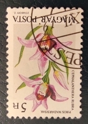 Image #1 of 5 Forint 1987 - Cephalanthera rubra