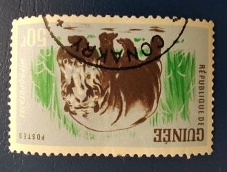 Image #1 of 50 Francs 1962 - Hippopotamus (Hippopotamus amphibius)