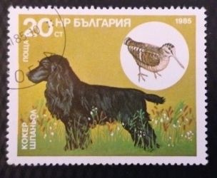Image #1 of 20 Stotinka 1985 - Cocker Spaniol, cocoș eurasiatic