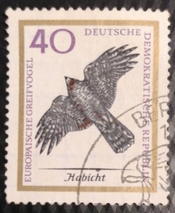 Image #1 of 40 Pfennig - Habicht