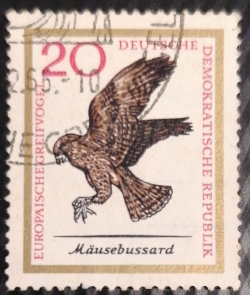 Image #1 of 20 Pfennig - Mausebussard
