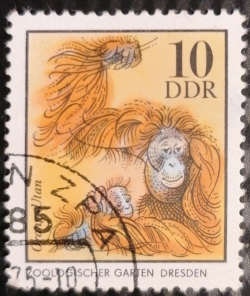 Image #1 of 10 Pfennig - Orangutan (Zoo Dresden)