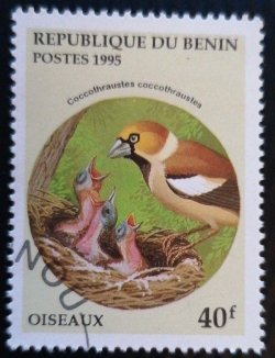 40 Francs 1995 - Coccothraustes Coccothraustes