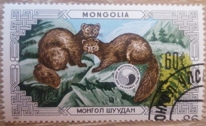 60 Mongo 1986 - Sable (Martes zibellina)