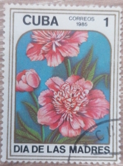 Image #1 of 1 Centavo 1985 - Mother Day - Paeonia