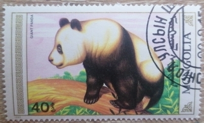 40 Mongo 1990 - Giant Panda