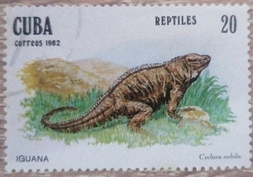 Image #1 of 20 Centavos 1982 - Iguana (Cyclura nubila)