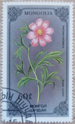 Image #1 of 60 Mongo 1986 - Paeonia anomala