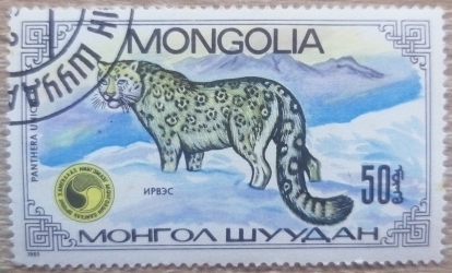 50 Mongo 1985 - Pantera de zapada (Panthera unicia)