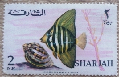 2 Naye Paise - Fish (Zebrasoma velifer)