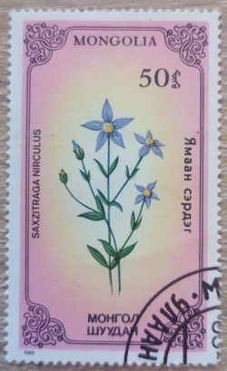 Image #1 of 50 Mongo 1985 - Saxzitraga nirculus