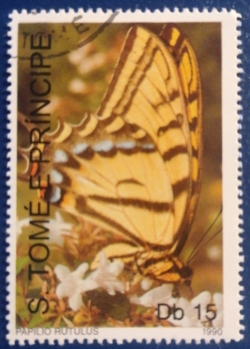 Image #1 of 15 Dobra - Papilio rutulus