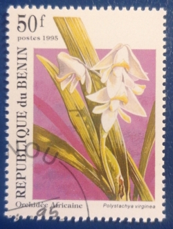 50 Francs 1995 - Polystachya virginea