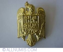 Image #1 of Emblema cascheta MApN