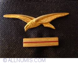 Image #1 of French Air Force Adjudant-chef hat badge