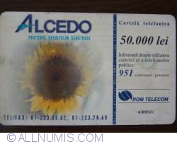 Image #2 of Alcedo