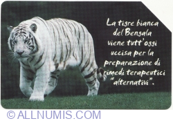 Image #1 of Animali che...Tigre bianca