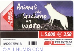 Image #2 of Animali che lasciano un vuoto -The Italian wolf